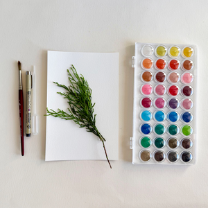 Watercolor Botanical Creation