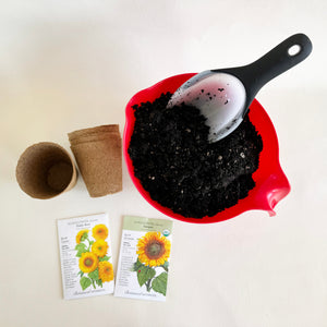 Sunflower Seed Exploration for Young Gardeners