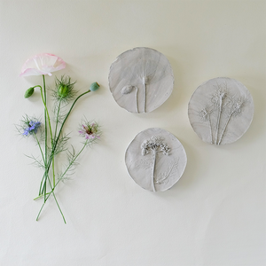 Botanical Plaster Prints