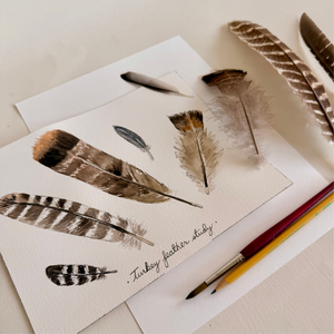 Watercolor Turkey Feather Study
