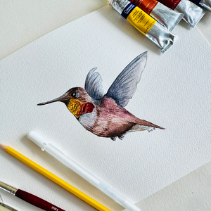Watercolor Hummingbird