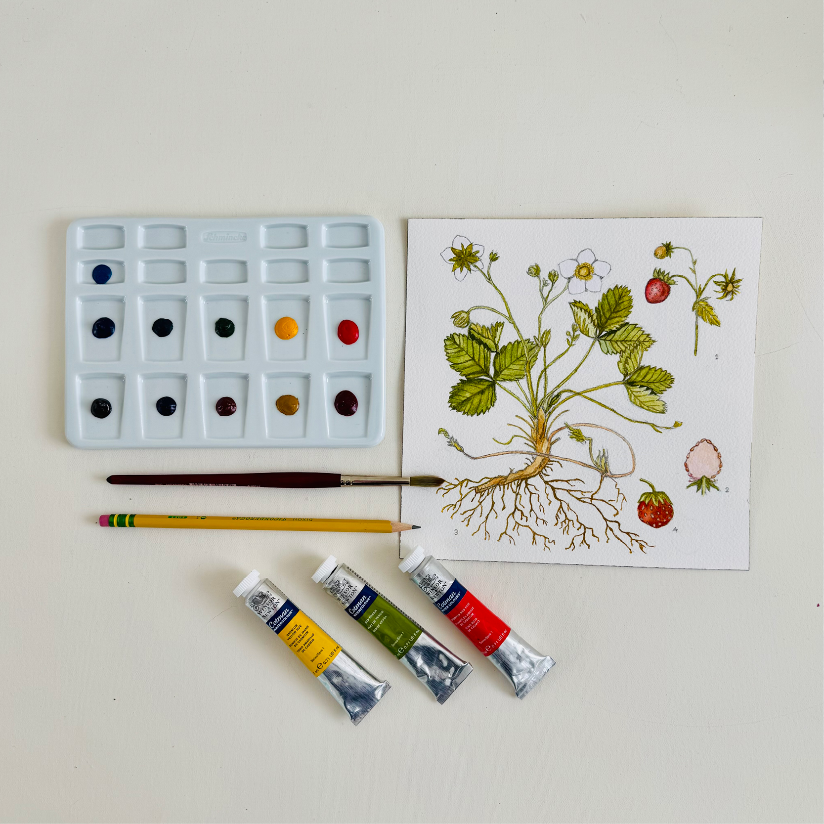 Wild Strawberry Painting