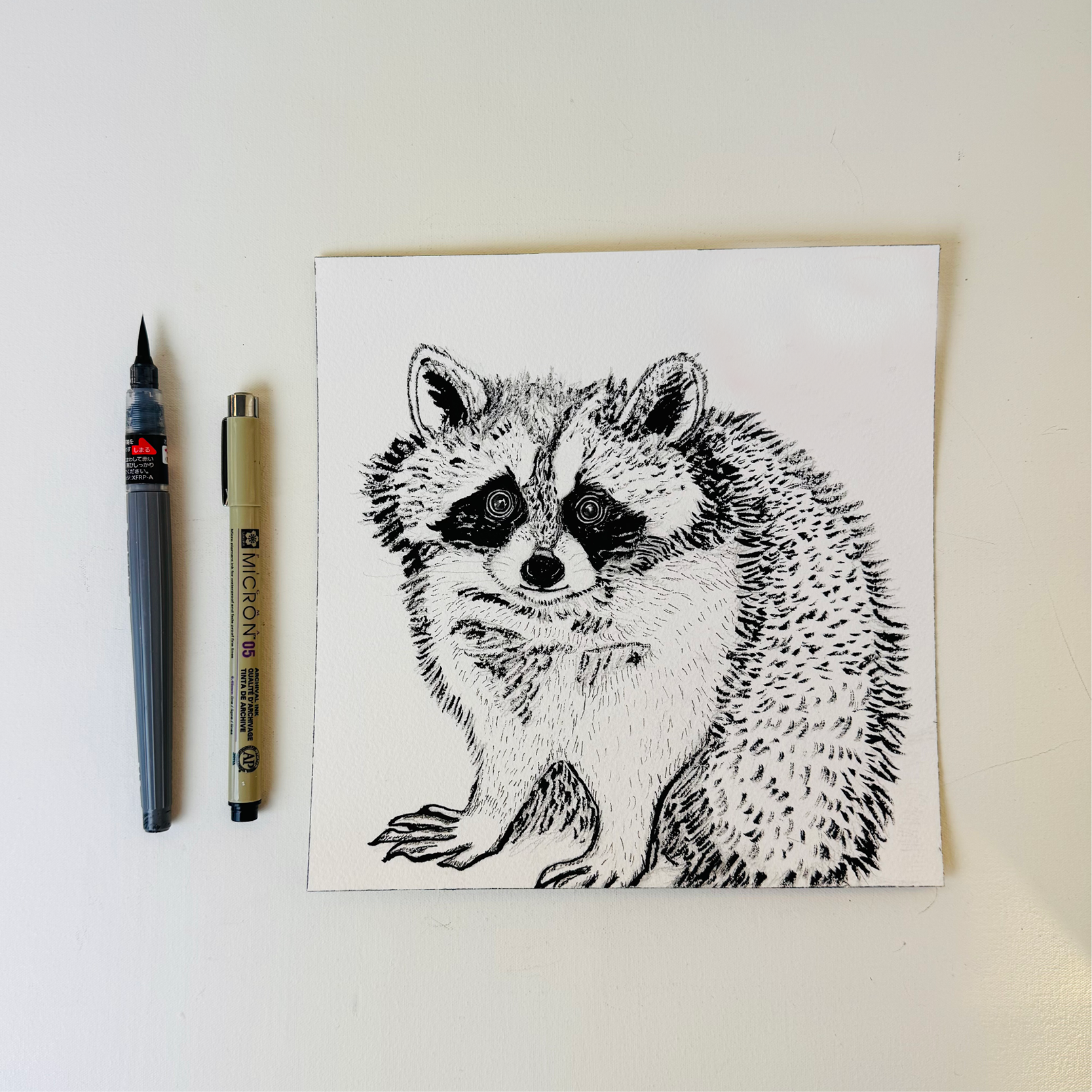 Japanese Sumi Ink Raccoon