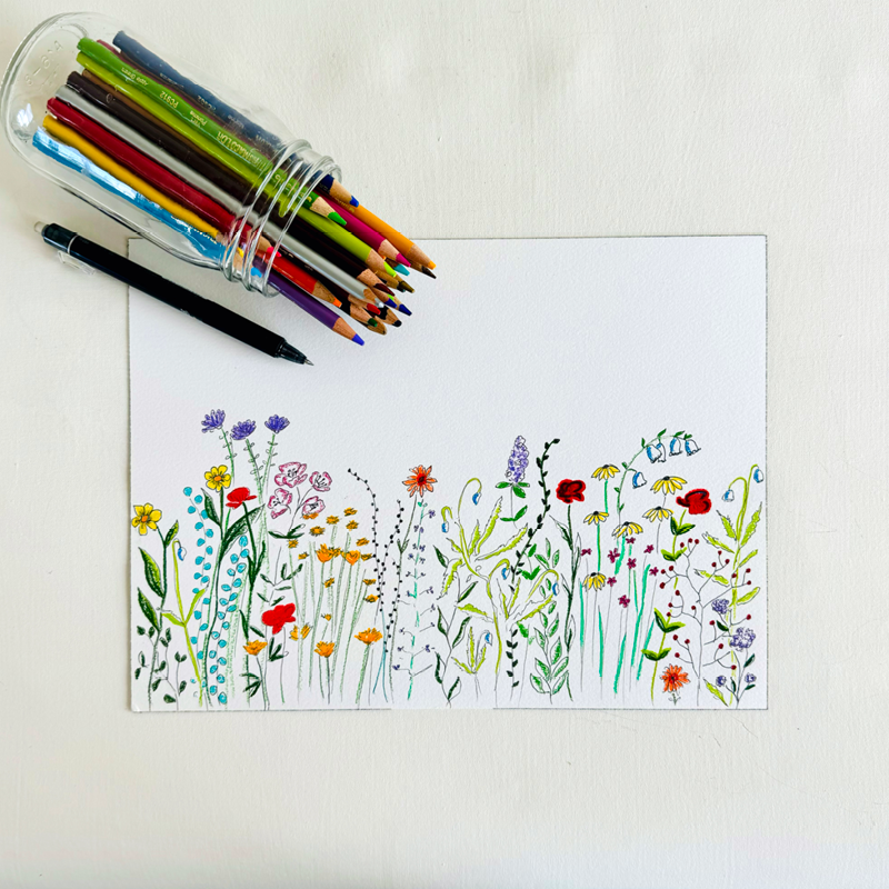 Wildflowers Illustration