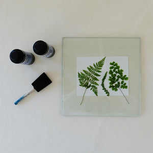 Cyanotype Printmaking