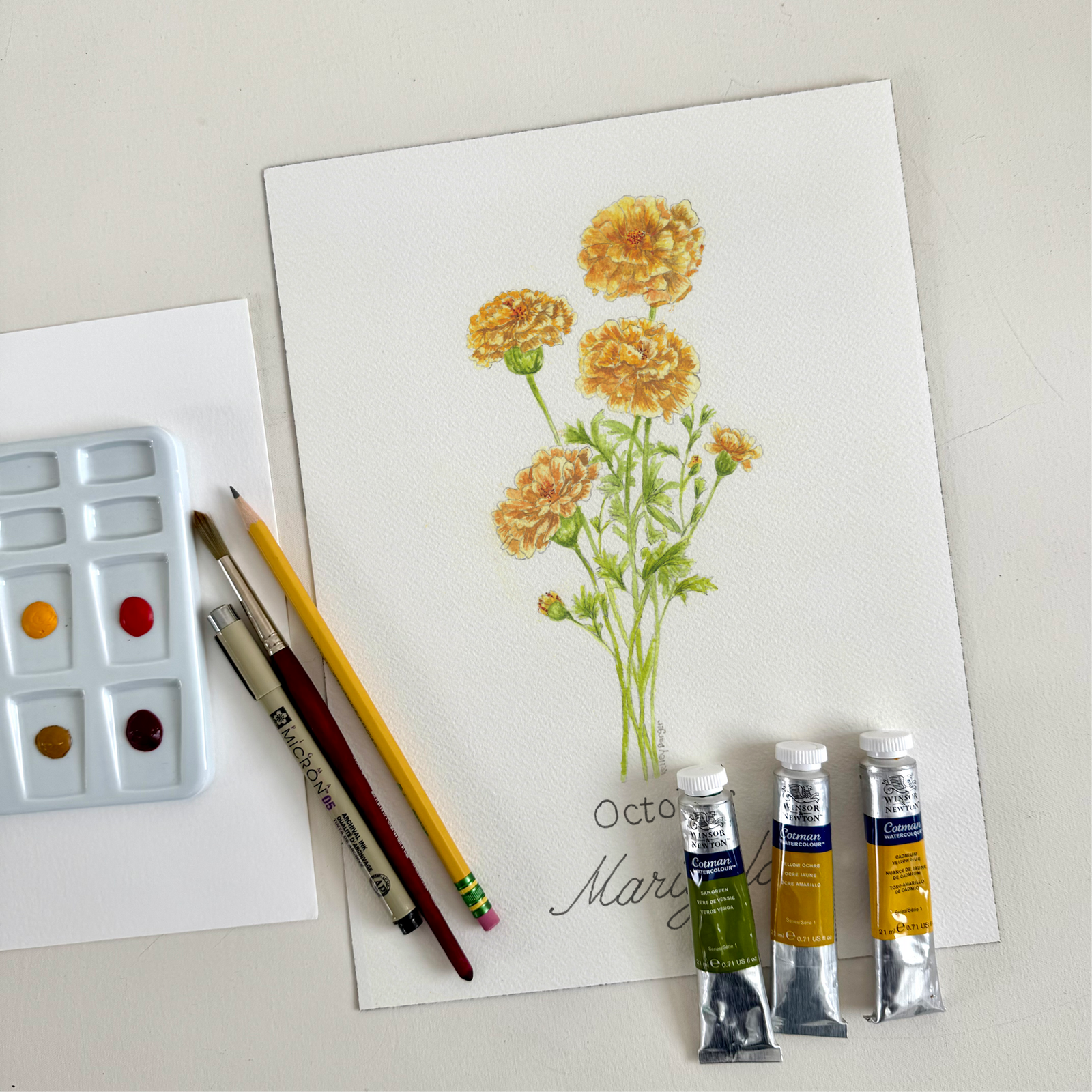 Watercolor Marigolds