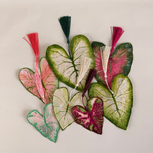 Paper Caladium Workshop