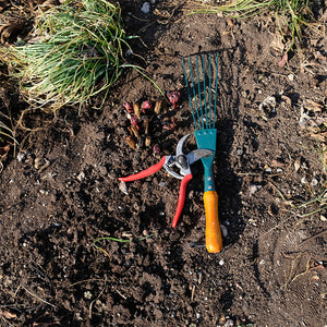 Waking Up Your Garden