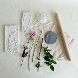 Botanical Plaster Prints