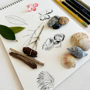 Sketching Nature