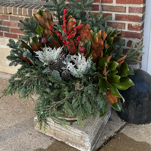 Design Your Winter Containers