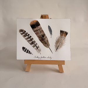 Watercolor Turkey Feather Study