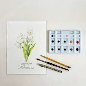 Watercolor Narcissus