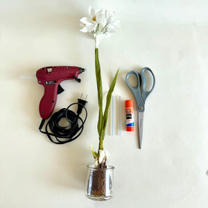 Paper Paperwhite Bulb Workshop