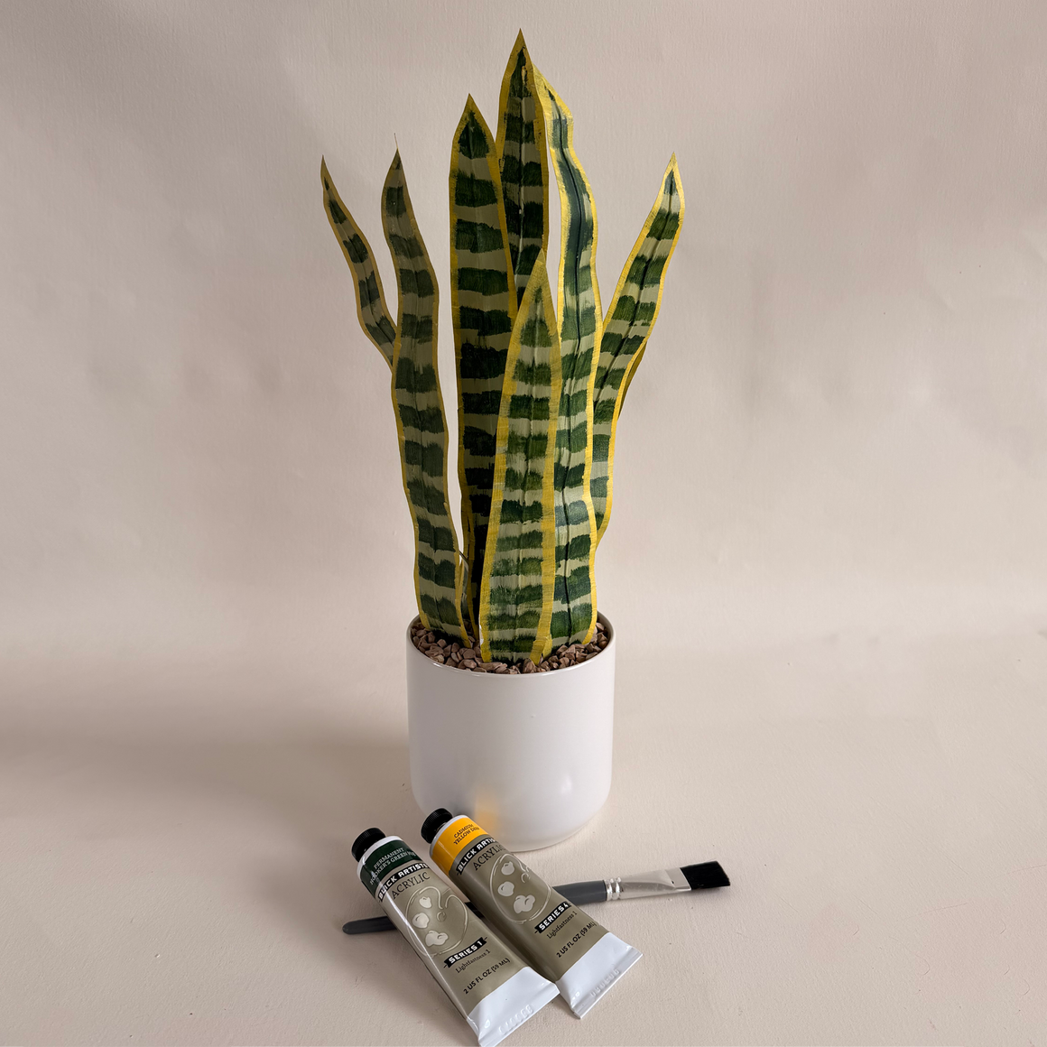 Paper Snake Plant Workshop