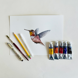 Watercolor Hummingbird