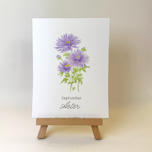 Watercolor Aster