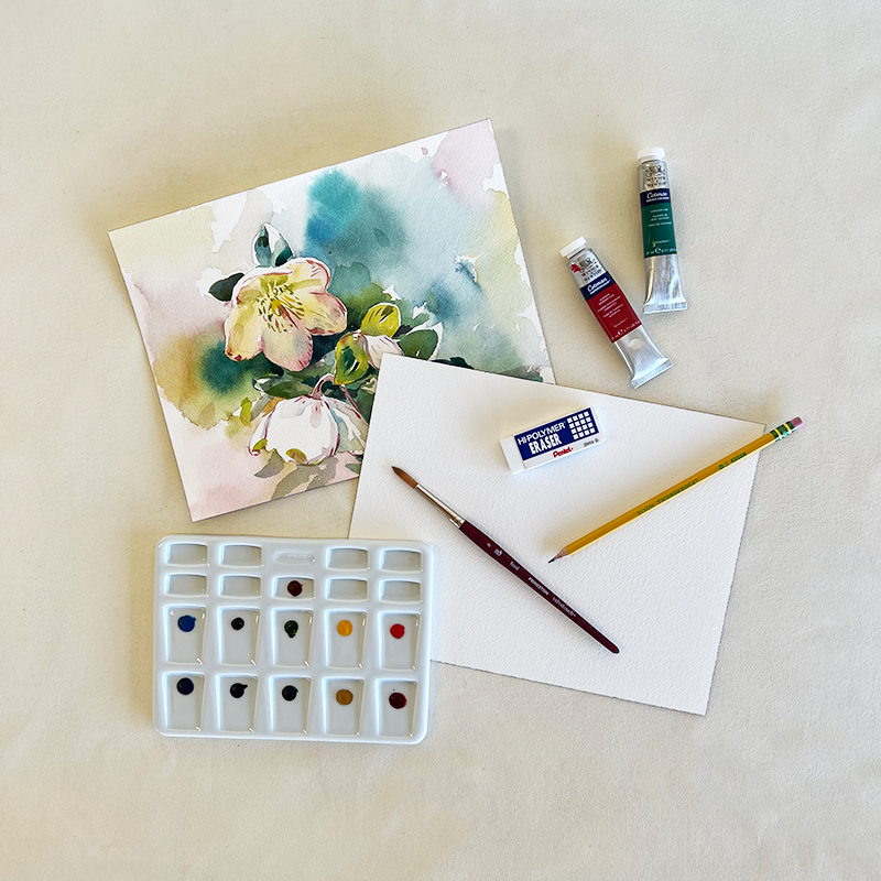 Watercolor Hellebores