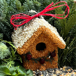 Winter Bird Chalet Workshop