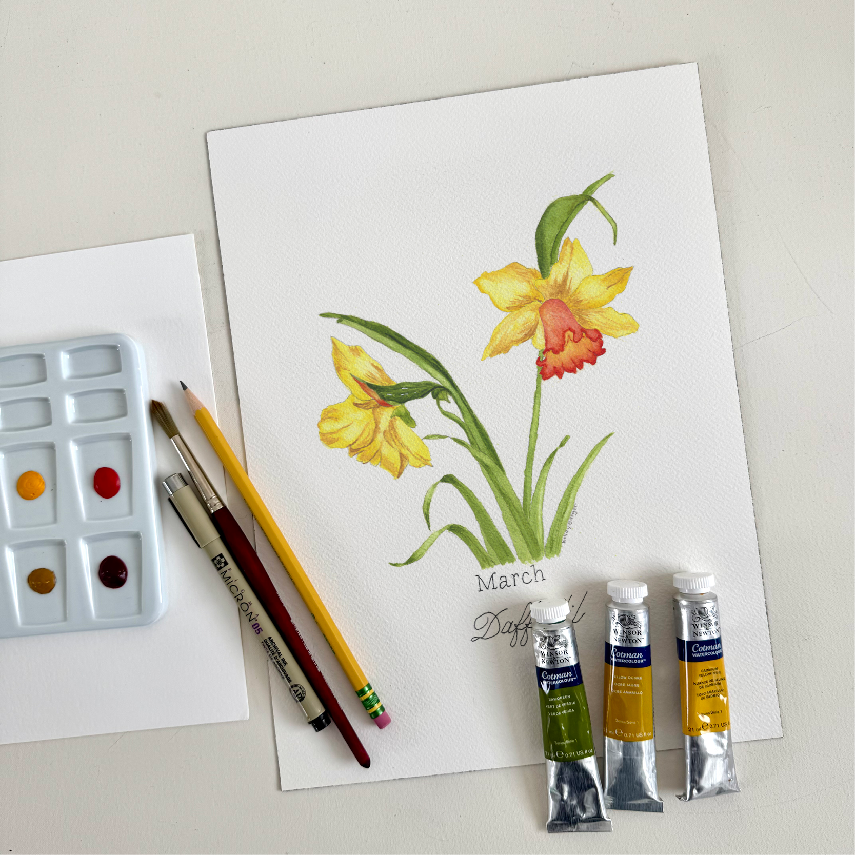 Watercolor Daffodils