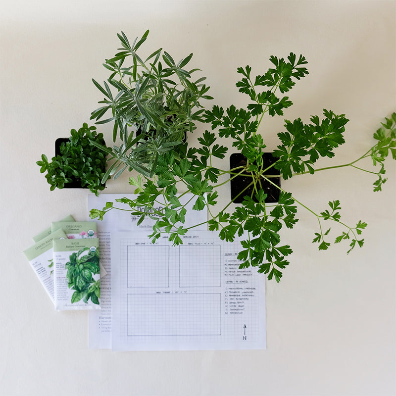 Design Your Herb Garden