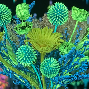 Glowing Garden Synthesis Workshop
