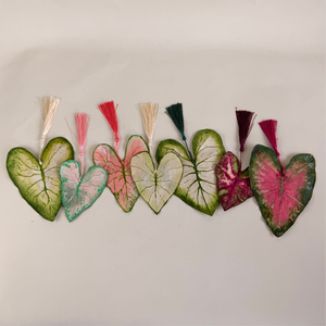 Paper Caladium Workshop