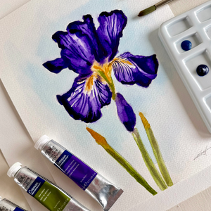 Watercolor Iris