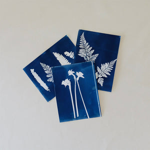 Cyanotype Printmaking