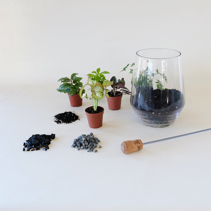 Terrarium Planting Workshop