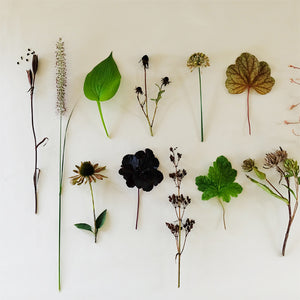 Putting Your Garden to Bed
