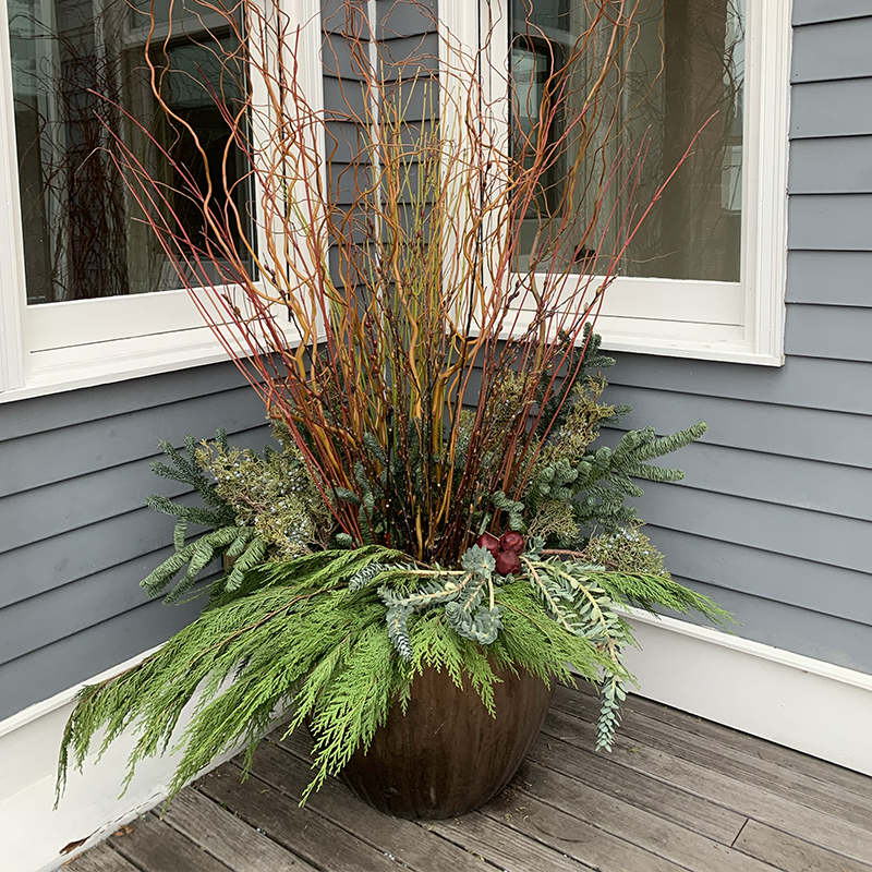 Design Your Winter Containers