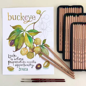 Beautiful Buckeye Coloring