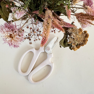 Dried Flower Arranging