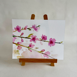 Watercolor Cherry Blossoms