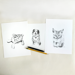 Draw Your Pet