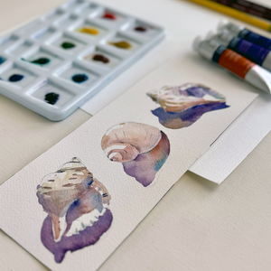 Watercolor Shell Study