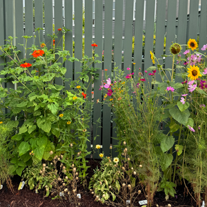 Design Your Alley Garden