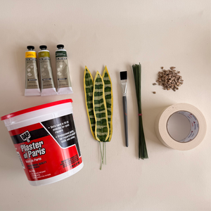 Paper Snake Plant Workshop