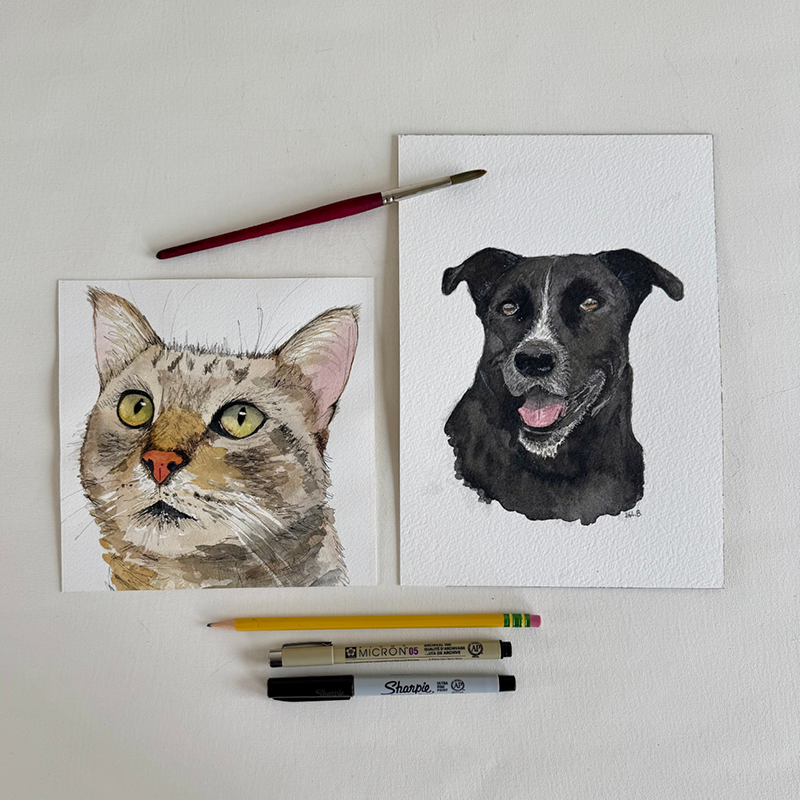 Paint Your Pet