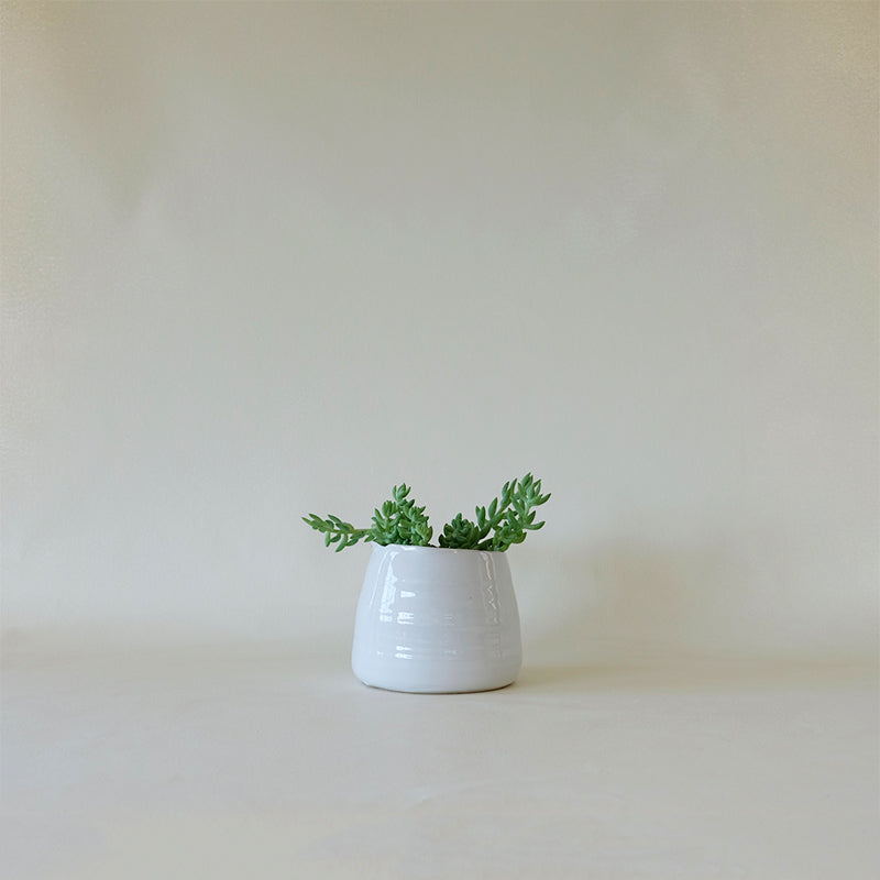 plant cache pot Tegan Cachepot White