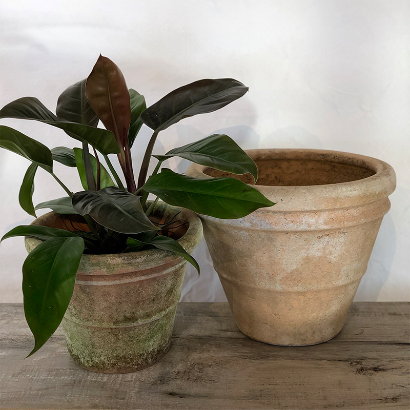 Aged Belgian Planter