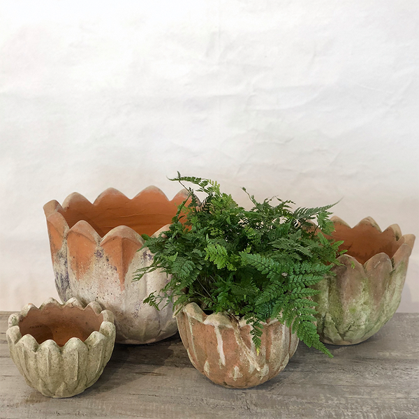 aged planter pots Aged Blossom Planter