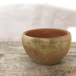 Aged Coquito Planter