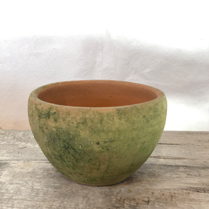 Aged Coquito Planter