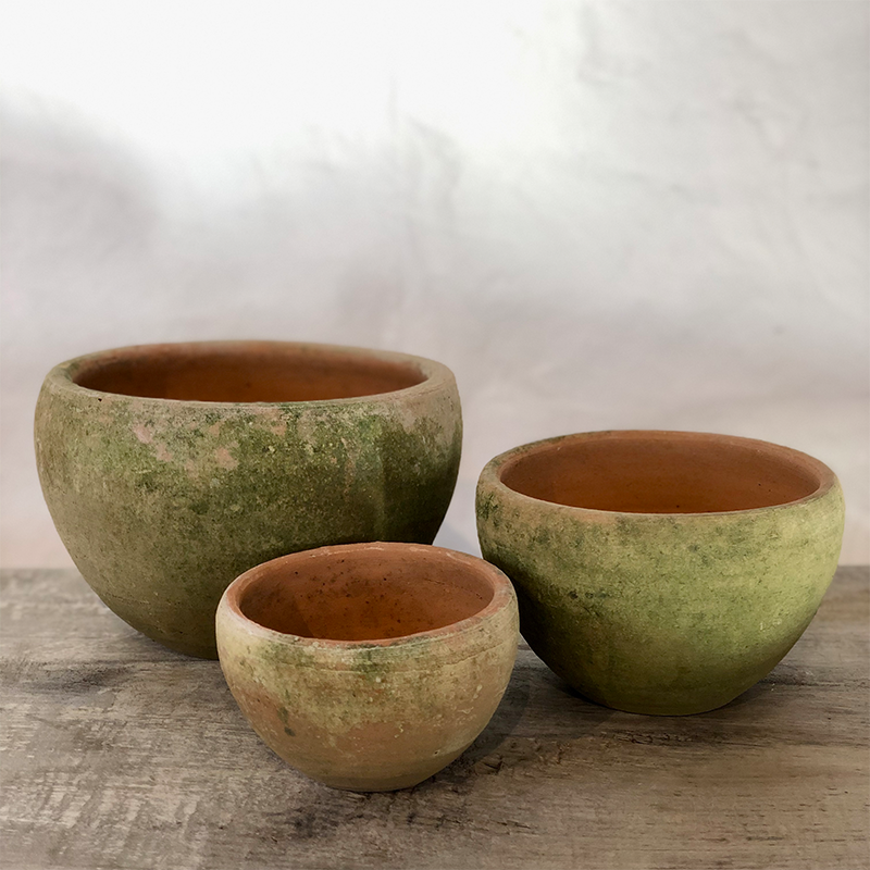 Aged Coquito Planter