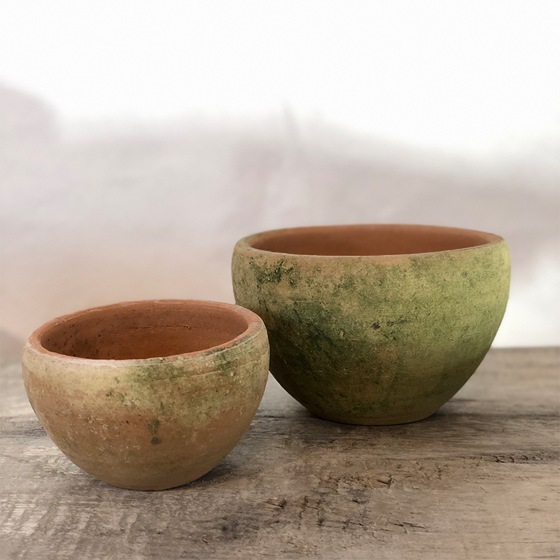 Aged Coquito Planter