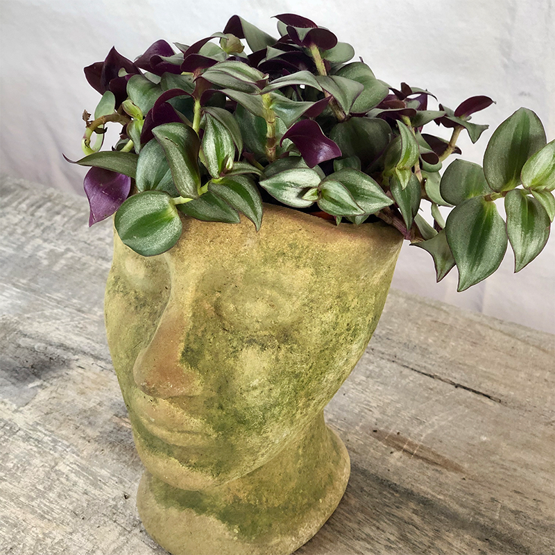 Aged Eleanor Planter