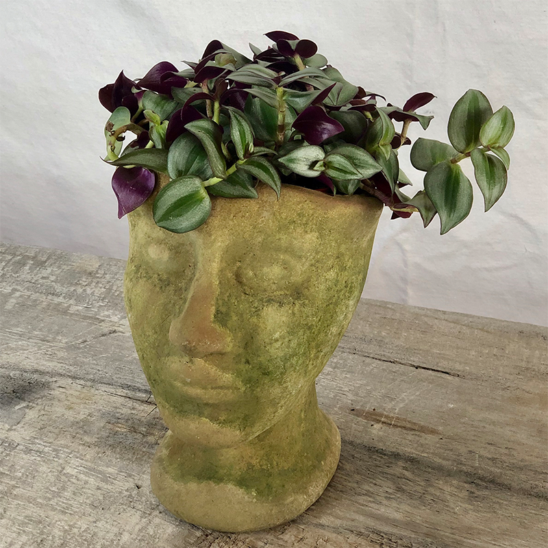 Aged Eleanor Planter