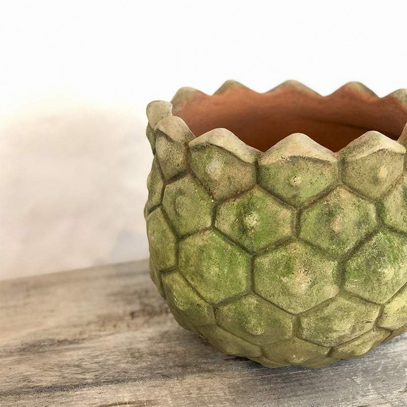 Aged Granada Planter